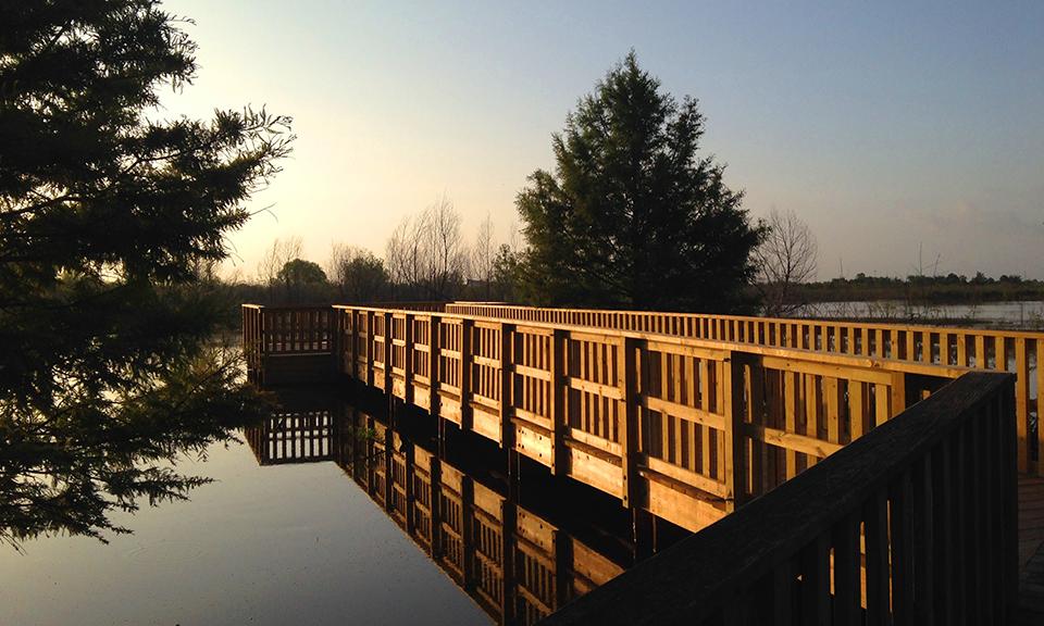 El Franco Lee Park Wetland Enhancements 