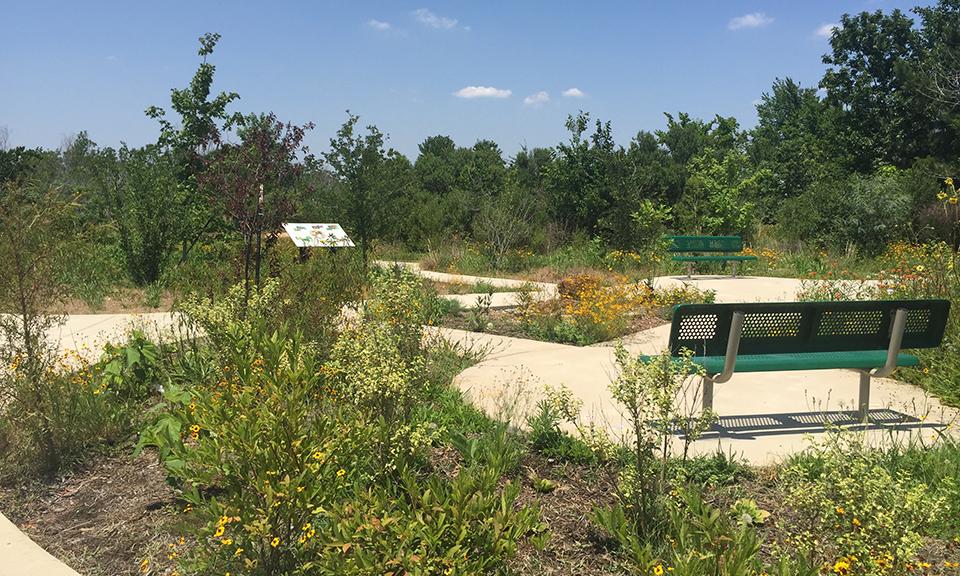 El Franco Lee Park Wetland Enhancements 